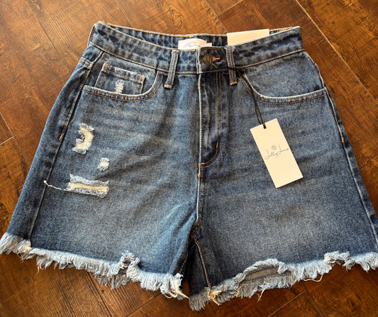 Jelly Dark Wash Jean Shorts